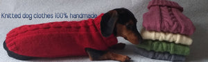 dachshundknit